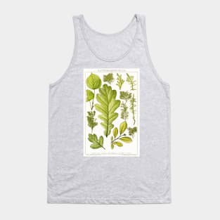 Assorted leaves and mosses - Botanical Illustration Tank Top